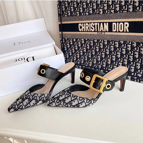 DIOR 디올 여성용 구두 6.5cm N0083-3