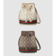 GUCCI 구찌 미니 버킷백 ‎550620 2COLOR