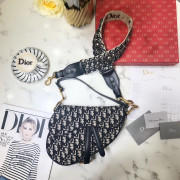 40위 Dior 디올 오블리크 새들 핸드&숄더 M0446 25.5CM