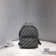 DIOR 디올 오블리크 백팩 D31225
