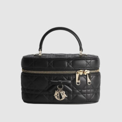 DIOR 디올 베니티 미니 S2603 2COLOR