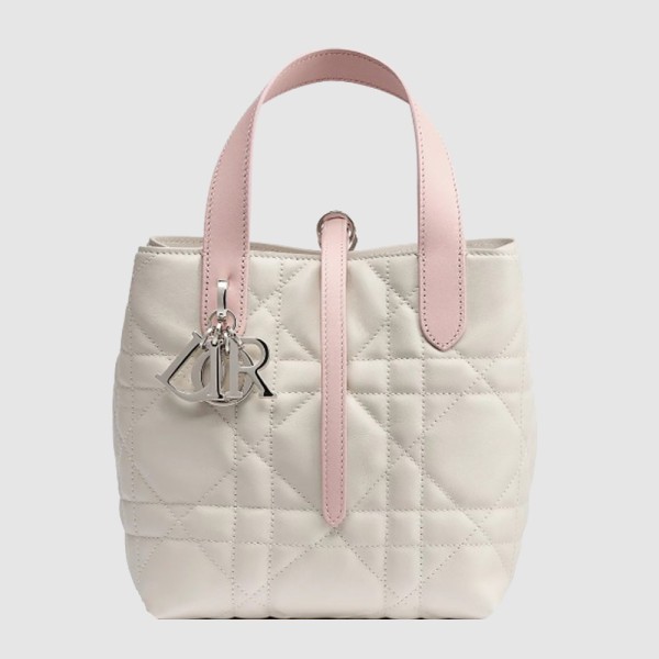 DIOR 디올 뚜주흐  버티컬 토트백 스몰 M2835 2COLOR