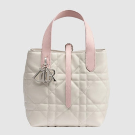 DIOR 디올 뚜주흐  버티컬 토트백 스몰 M2835 2COLOR