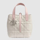 DIOR 디올 뚜주흐  버티컬 토트백 스몰 M2835 2COLOR