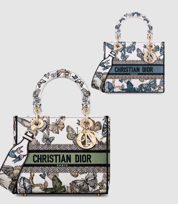 DIOR 디올 레이디백 디라이트 미듐 M0565