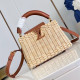 LOUIS VUITTON 루이비통 카푸신 미니 M48865