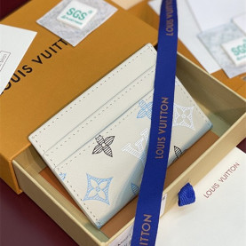 LOUIS VUITTON 루이비통 더블 카드/명함지갑 M62170  2COLOR