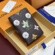 LOUIS VUITTON 루이비통 포켓 오거나이저 카드/명함지갑 M27542