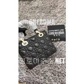 박*희 고객님 디올 레이디 백 20CM