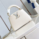 LOUIS VUITTON 루이비통 카푸신 미니/스몰 M48865